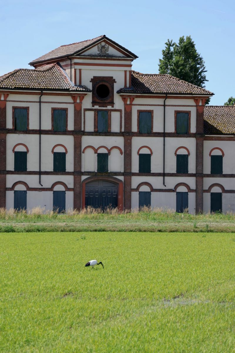 Dal riso alla destinazione: il vercellese rilancia il turismo dei territori autentici