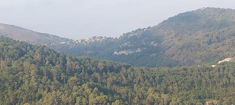 Alpes Maritimes: alla scoperta del territorio.  Tourrette-Levens (Foto)