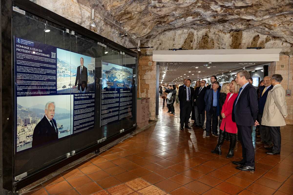 Mezzo secolo di impegno per il mare: l’AMPN celebra 50 anni di tutela della natura monegasca