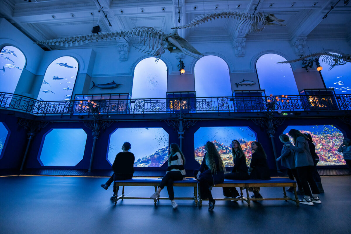 Méditerranée 2050 supera i 500.000 visitatori al Museo Oceanografico di Monaco