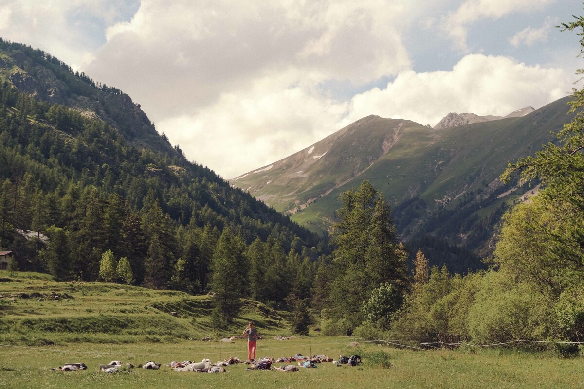 La Mad Jacques Trek Roya attraversa le Alpi e arriva in Italia: trekking tra Roya e Colle di Tenda con bivacco a 2.000 metri