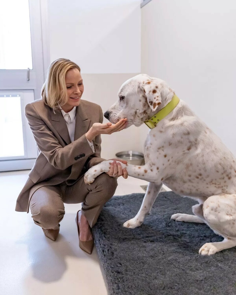 SPA di Monaco, il rifugio di Peille si rinnova: più spazi, volontari e attività per il benessere degli animali (Foto)