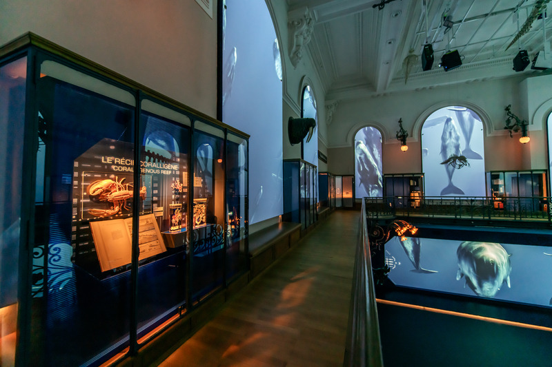 Prestigioso MONDO-DR Award per il Musée océanographique de Monaco (Foto)