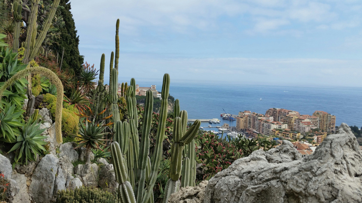 Fuochi d'artificio a Monaco: il Jardin Exotique apre le porte per due serate speciali