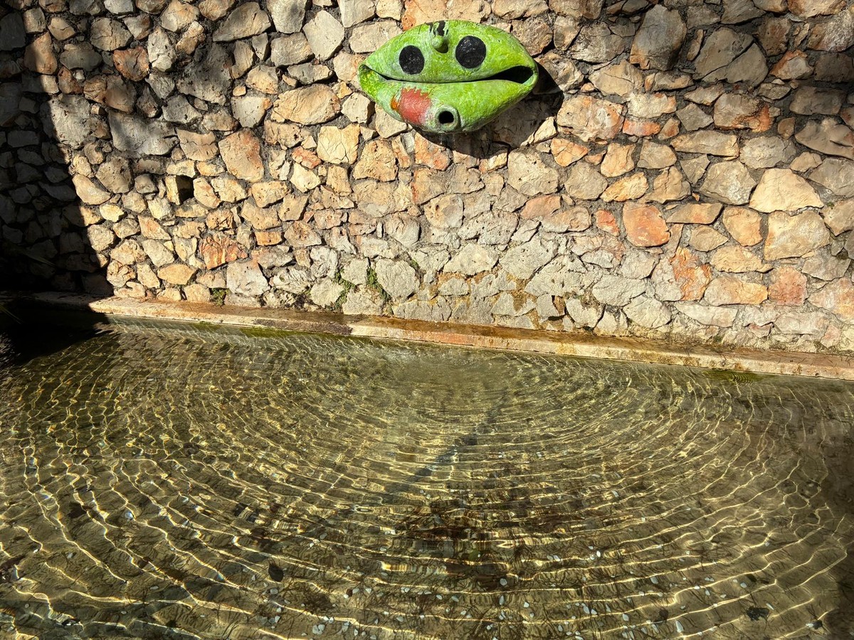 Alla Fondazione Maeght dialogano memoria e immaginazione: Arman e Baya protagonisti a Saint-Paul de Vence