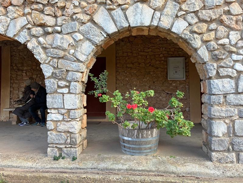 Saint-Honorat, l’isola del silenzio: tra vigneti monastici e spiritualità a due passi da Cannes