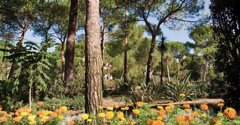 Juan-les-Pins, la Pinède Gould rinasce: estate 2026 tra musica, sport e grandi eventi