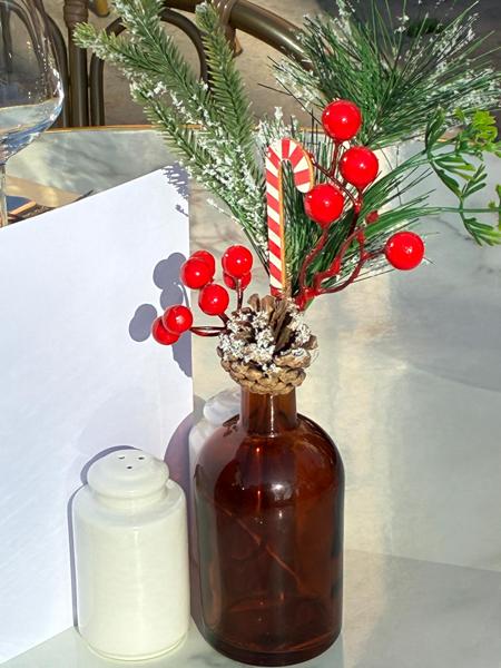 Le Cannet, il borgo dalle sette colline che racconta la storia della Riviera (Foto)