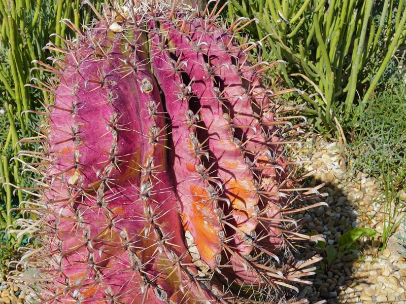 Antibes, Pasqua senza filtri: il racconto autentico negli scatti di Silvia Assin (Foto)