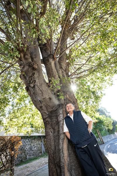 Vence, il bagolaro secolare corre per il titolo di “Albero dell’anno 2025”