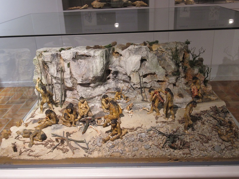 Monaco celebra la Preistoria: una giornata gratuita e immersiva al Museo di Antropologia