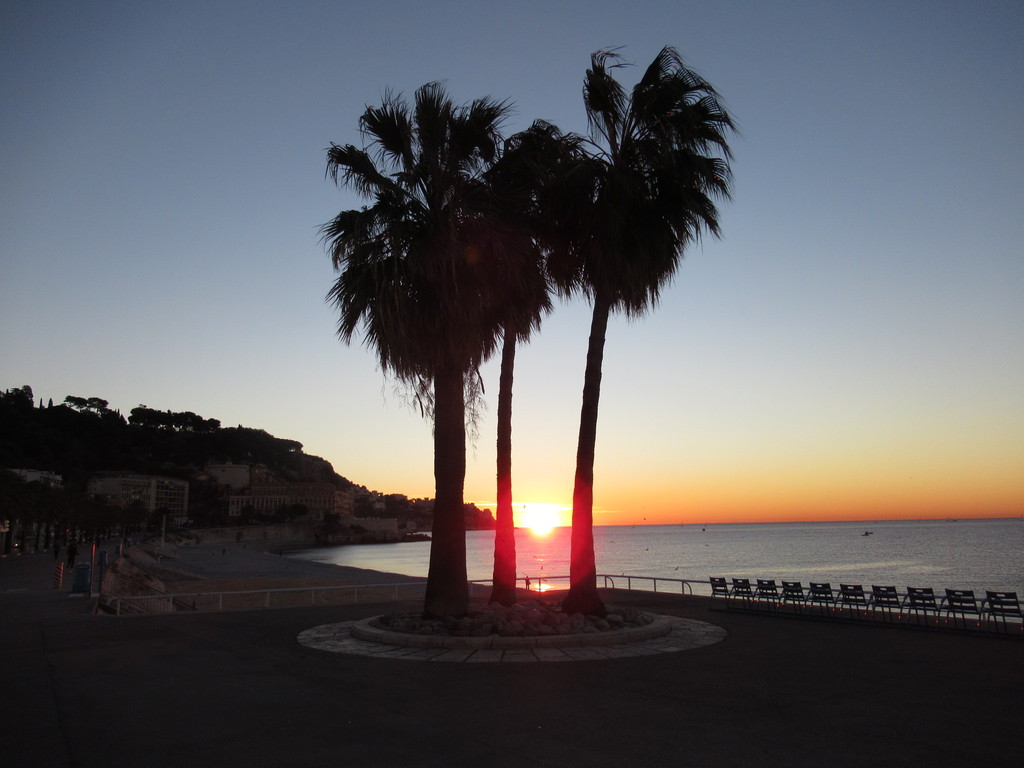 La foto dell'alba non è stata scattata in un palmeto della Tunisia o del  Marocco: il mare è il medesimo, ma la sponda è quella nord, quella di Nizza  