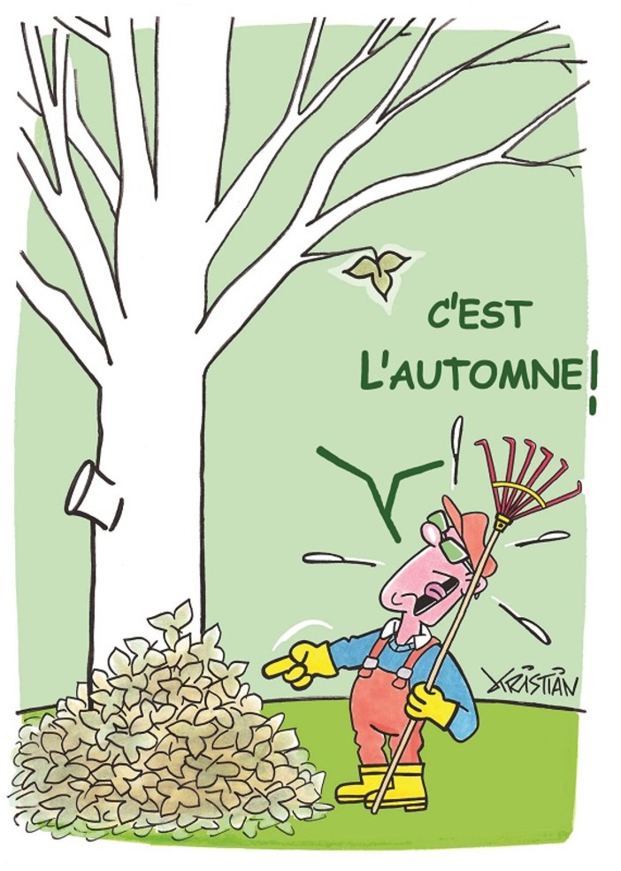 "E' autunno!", una vignetta di Kristian "E' autunno!", una vignetta di Kristian