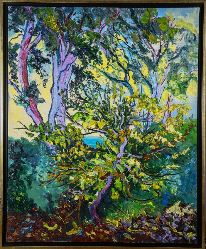 Denis Ribas con la mostra "Instinct and colors" presso la Galleria d'Arte del Palazzo dell'Europa