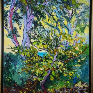 Denis Ribas con la mostra "Instinct and colors" presso la Galleria d'Arte del Palazzo dell'Europa