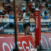 © Dan Vernon / FMA © Dan Vernon / FMA