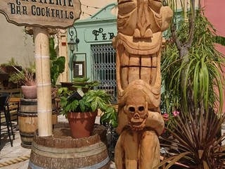 Milena Visentini: Il totem