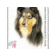 Montecarlo: nel fine settimana torna l'esposizione canina internazionale