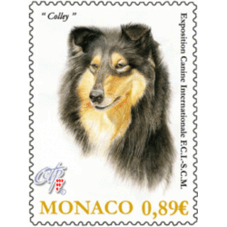 Montecarlo: nel fine settimana torna l'esposizione canina internazionale
