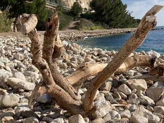 Mietta Tondelli: Scultura naturale