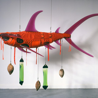 Lo squalo arancione - photo from www.nmnm.mc