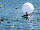La musica che viene dal mare La musica che viene dal mare