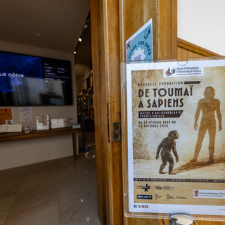 Le Musée d’Anthropologie préhistorique presenta la mostra “Da Toumaï a Sapiens”- fino al 16 ottobre 2026. Crédit photo : © Direction de la Communication / Manuel Vitali.