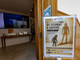 Le Musée d’Anthropologie préhistorique presenta la mostra “Da Toumaï a Sapiens”- fino al 16 ottobre 2026. Crédit photo : © Direction de la Communication / Manuel Vitali. Le Musée d’Anthropologie préhistorique presenta la mostra “Da Toumaï a Sapiens”- fino al 16 ottobre 2026. Crédit photo : © Direction de la Communication / Manuel Vitali.