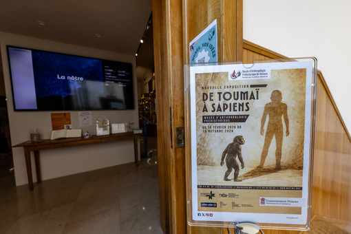 Le Musée d’Anthropologie préhistorique presenta la mostra “Da Toumaï a Sapiens”- fino al 16 ottobre 2026. Crédit photo : © Direction de la Communication / Manuel Vitali. Le Musée d’Anthropologie préhistorique presenta la mostra “Da Toumaï a Sapiens”- fino al 16 ottobre 2026. Crédit photo : © Direction de la Communication / Manuel Vitali.