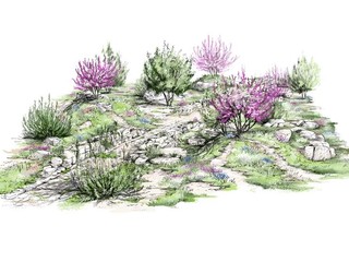 Grasse, La voie heracleenne Nicholas Tomlan Garden Design Copyright Noemie Baracco Grasse, La voie heracleenne Nicholas Tomlan Garden Design Copyright Noemie Baracco