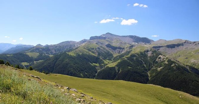 Auron