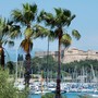 Antibes, le Fort Carré (c) D. Vincendeau Antibes, le Fort Carré (c) D. Vincendeau