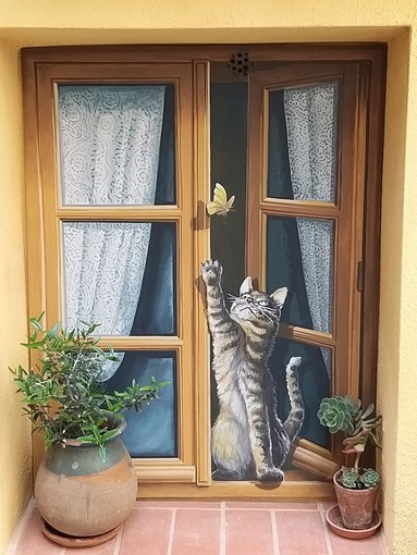 "A caccia di farfalle", fotografie di Luigi Picco "A caccia di farfalle", fotografie di Luigi Picco