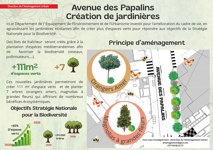Avenue des Papalins: ampliamento delle fioriere