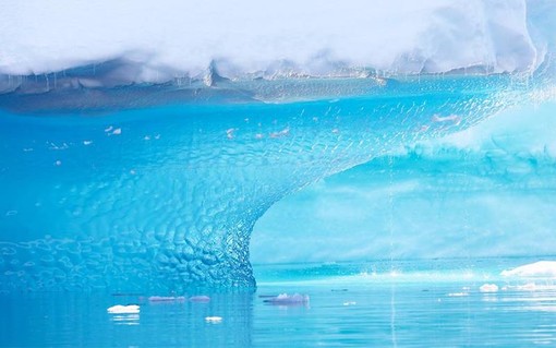 "Antarctica, la face dévoilée de l’iceberg" "Antarctica, la face dévoilée de l’iceberg"