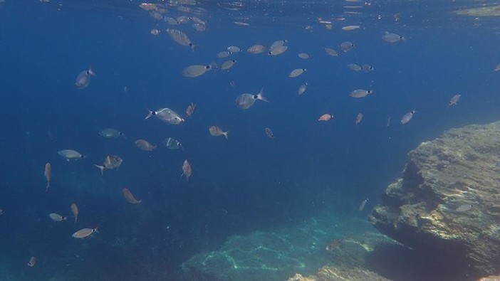 Sottocosta …a cura di Ghjuvan Pasquale Sottocosta …a cura di Ghjuvan Pasquale