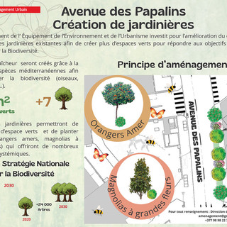 Avenue des Papalins: ampliamento delle fioriere