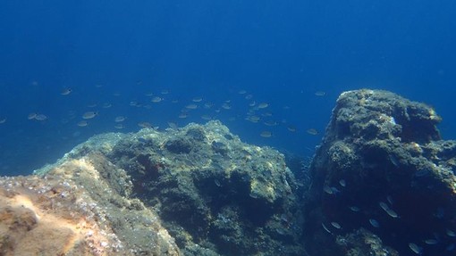 Sottocosta …a cura di Ghjuvan Pasquale Sottocosta …a cura di Ghjuvan Pasquale