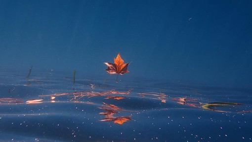 Sottocosta …a cura di Ghjuvan Pasquale Sottocosta …a cura di Ghjuvan Pasquale