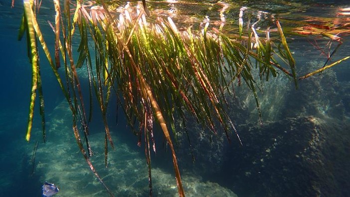 Sottocosta …a cura di Ghjuvan Pasquale Sottocosta …a cura di Ghjuvan Pasquale