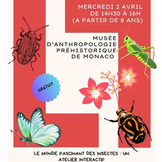 Al Museo di Antropologia Storica di Monaco un laboratorio interattivo sul mondo degli insetti