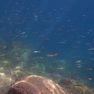 Sottocosta …a cura di Ghjuvan Pasquale