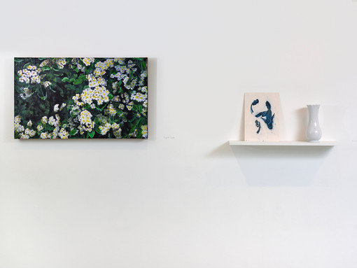 “A rose is a petunia is a mimosa”, Galerie Eva Vautier di Nizza