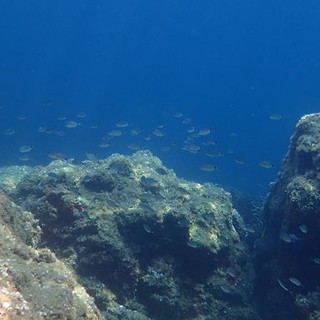 Sottocosta …a cura di Ghjuvan Pasquale