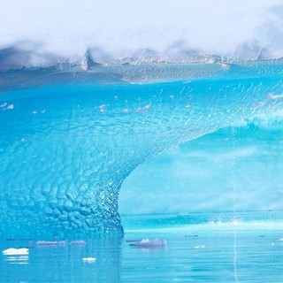 "Antarctica, la face dévoilée de l’iceberg"