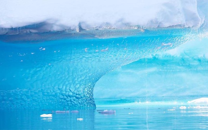 "Antarctica, la face dévoilée de l’iceberg"