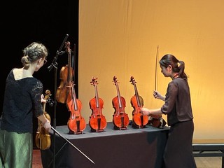 “Armonía Artificiosa”, i violini