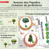 Avenue des Papalins: ampliamento delle fioriere Avenue des Papalins: ampliamento delle fioriere