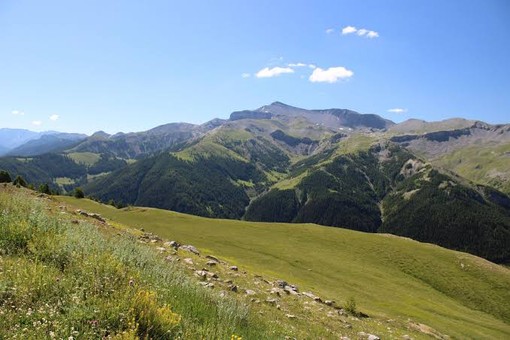 Auron