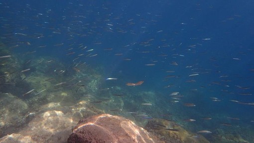 Sottocosta …a cura di Ghjuvan Pasquale Sottocosta …a cura di Ghjuvan Pasquale